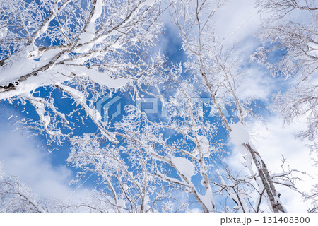 青空に映える樹氷 131408300