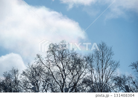 空にかかる虹 131408304