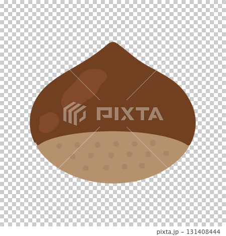 Chestnut illustration Chestnut illustration 131408444