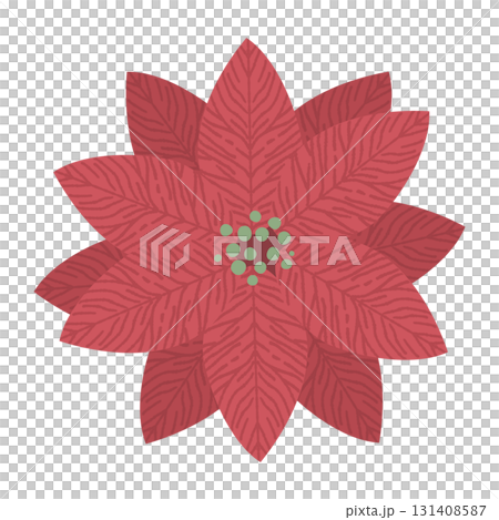 Cute poinsettia illustration 131408587