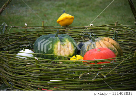 A vibrant display of pumpkins and gourds nestled within a woven willow basket. 131408835
