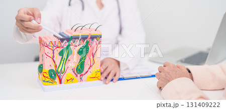 woman Patient consultation Dermatologist with anatomy of skin and hair. Skin disease and Hair loss, Systemic Lupus Erythematosus or SLE, world lupus day, May Melanoma and Skin Cancer Awareness month 131409222