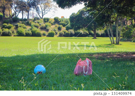 農事センターの芝生と樹木 【ボールとカバン】 131409974