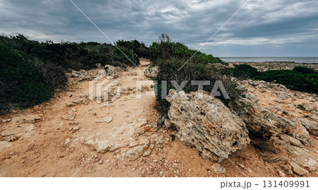 Rocky coastal path with dry Rocky coastal path with dry 131409991