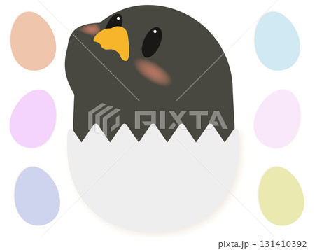 卵に入った黒いひよこの可愛いイラスト素材 卵に入った黒いひよこの可愛いイラスト素材 131410392