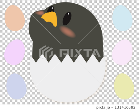 卵に入った黒いひよこの可愛いイラスト素材 卵に入った黒いひよこの可愛いイラスト素材 131410392
