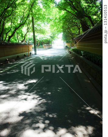 杉並区の緑のある風景 131410513