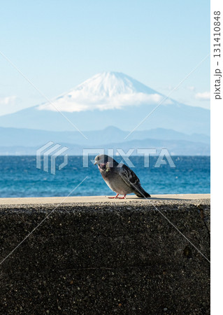 富士山と鳩 富士山と鳩 131410848