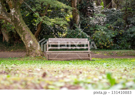 公園のベンチ　 131410883