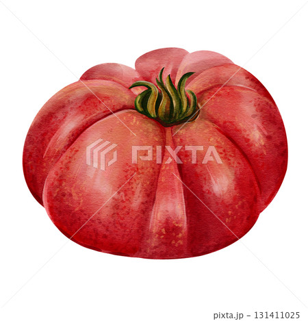 Large red tomato. Juicy autumn vegetable. Small leaves. Tomato paste. Natural product. Watercolor illustration isolated from the background. Hand drawn. High quality illustration Large red tomato. Juicy autumn vegetable. Small leaves. Tomato paste. Natural product. Watercolor illustration isolated from the background. Hand drawn. High quality illustration 131411025