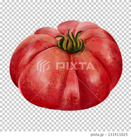Large red tomato. Juicy autumn vegetable. Small leaves. Tomato paste. Natural product. Watercolor illustration isolated from the background. Hand drawn. High quality illustration Large red tomato. Juicy autumn vegetable. Small leaves. Tomato paste. Natural product. Watercolor illustration isolated from the background. Hand drawn. High quality illustration 131411025