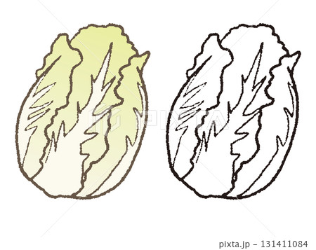 手描きの白菜 131411084