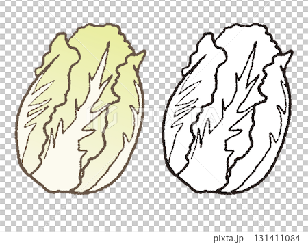 手描きの白菜 131411084