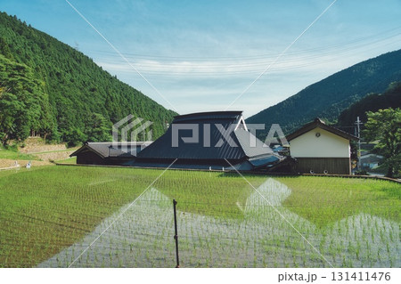稲穂のある村1 稲穂のある村1 131411476