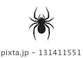 蜘蛛のイラスト 131411551