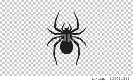 蜘蛛のイラスト 蜘蛛のイラスト 131411551