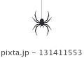 垂れ下がった蜘蛛のシルエット 131411553