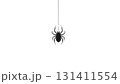 垂れ下がった蜘蛛のシルエット 131411554