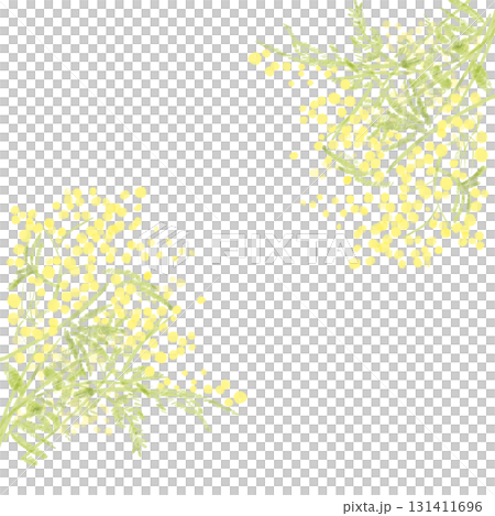 水彩で描いたミモザ装飾イラスト 131411696