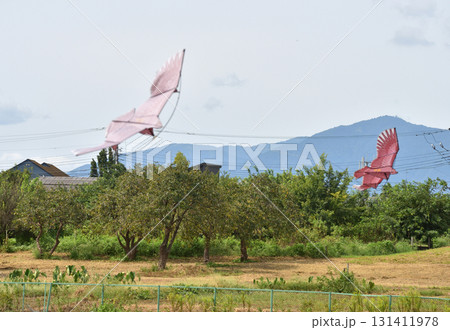 田んぼの上を羽ばたく鳥よけ 鷹 カイト 131411978
