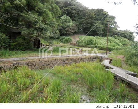 八王子市の片倉城跡公園、水車小屋周辺 131412091