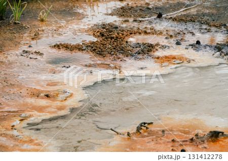 イエローストーン国立公園2 131412278
