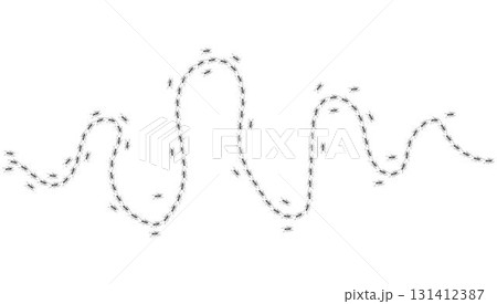 Ant trail. Walking group of black insects. Line of worker ants marching in search of food. Curve footpath of home pest isolated on transparent background. Vector Ant trail. Walking group of black insects. Line of worker ants marching in search of food. Curve footpath of home pest isolated on transparent background. Vector 131412387