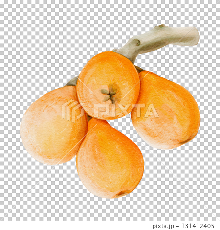 Juicy yellow medlar. A branch with exotic oval orange fruits loquat. A cluster of berries. A tropical Mediterranean delicacy. Watercolor illustration isolated from the background. Hand-drawn.  131412405