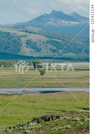 イエローストーン国立公園130 131413134