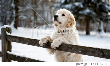 A dog puts his paw on a wooden fence and stands in the hay to look at the camera A dog puts his paw on a wooden fence and stands in the hay to look at the camera 131413299