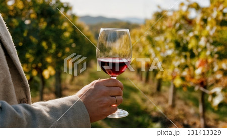 A person's hand holding a glass of red wine in a vineyard. Wine tasting, vineyard, nature, relaxation, luxury. A person's hand holding a glass of red wine in a vineyard. Wine tasting, vineyard, nature, relaxation, luxury. 131413329