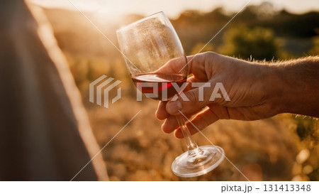 A person's hand holding a glass of red wine in a vineyard. Wine tasting, vineyard, nature, relaxation, luxury. A person's hand holding a glass of red wine in a vineyard. Wine tasting, vineyard, nature, relaxation, luxury. 131413348