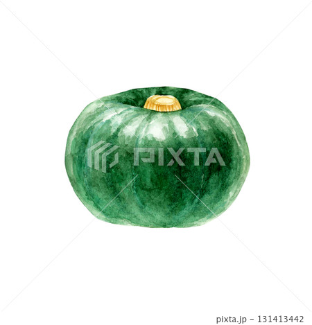かぼちゃ 緑 野菜 水彩 イラスト かぼちゃ 緑 野菜 水彩 イラスト 131413442