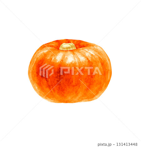 かぼちゃ　オレンジ色　野菜　水彩 イラスト 131413448