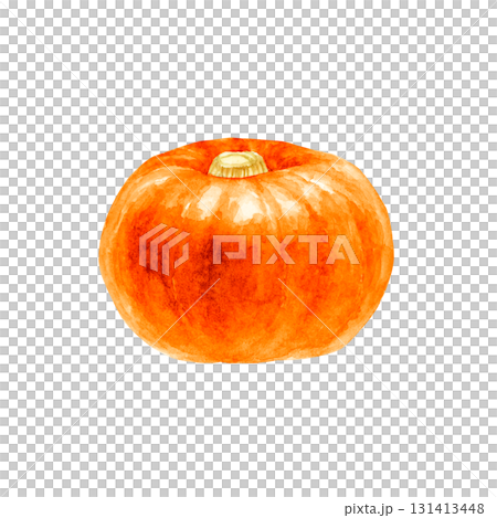 かぼちゃ　オレンジ色　野菜　水彩 イラスト 131413448