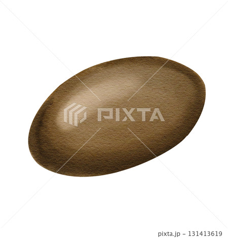Glossy pebble. Coffee bean. Exotic fruit pit. Medlar. Botanical vintage style. Brown oval. Watercolor illustration isolated from the background. Hand drawn. High quality illustration Glossy pebble. Coffee bean. Exotic fruit pit. Medlar. Botanical vintage style. Brown oval. Watercolor illustration isolated from the background. Hand drawn. High quality illustration 131413619