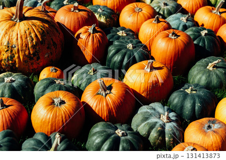 Colorful Harvest Display of Pumpkins Outdoors, symbolizing harvest season, autumn, and Thanksgiving. Colorful Harvest Display of Pumpkins Outdoors, symbolizing harvest season, autumn, and Thanksgiving. 131413873