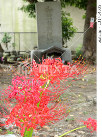 和田塚-和田一族戦没地の碑 和田塚-和田一族戦没地の碑 131414035