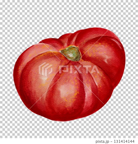 A large, juicy tomato with veins and folds. A ripe red vegetable. Autumn harvest for the fair. Watercolor illustration without background. Hand-drawn. High quality illustration 131414144
