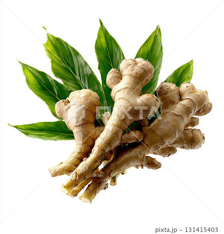 和食やスパイスのイメージに最適なショウガ 131415403