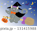 ハロウィンの仮装をしたネコが夜空を飛んでいる　背景あり 131415988