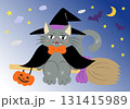 ハロウィン背景壁紙でおすましする黒猫　背景あり 131415989