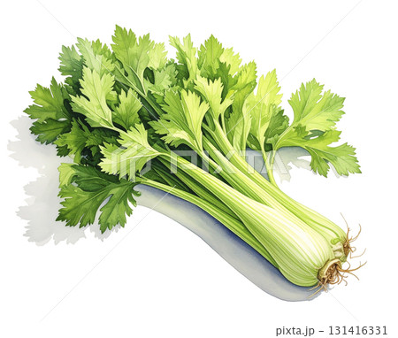 セロリ　野菜　AI生成画像  131416331