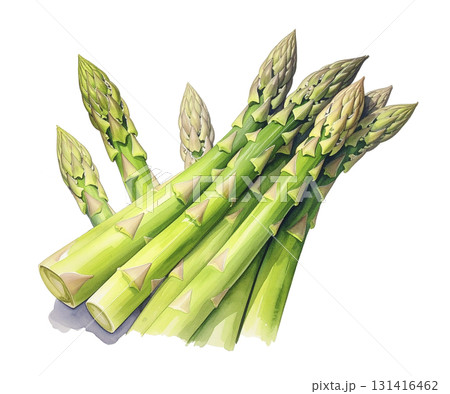 アスパラガス AI生成画像 アスパラガス AI生成画像 131416462