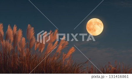 満月とススキ 満月とススキ 131416861
