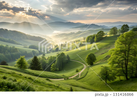 grassy meadow on hillside meadow in mountains at sunset 131416866