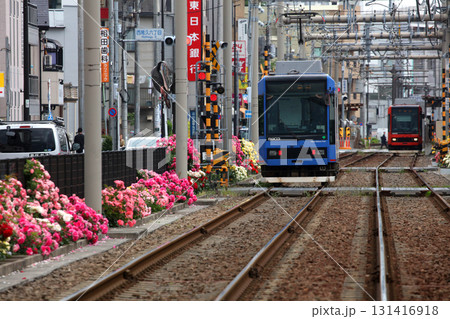バラが咲き乱れる都電荒川線 131416918