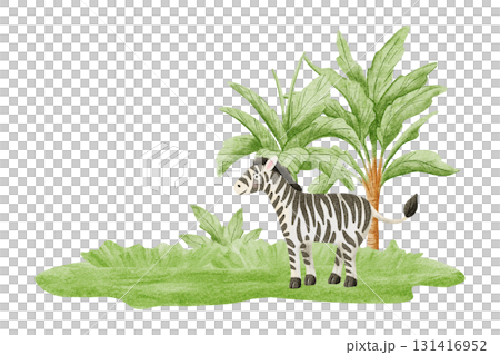 Cute zebra in jungle watercolor illustration isolated on white. Hand drawn African safari animal with palm trees for kids and nursery decor. Child drawing savannah nature clip art Cute zebra in jungle watercolor illustration isolated on white. Hand drawn African safari animal with palm trees for kids and nursery decor. Child drawing savannah nature clip art 131416952