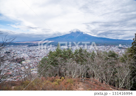 山梨県 新倉山浅間公園から望む富士山 山梨県 新倉山浅間公園から望む富士山 131416994