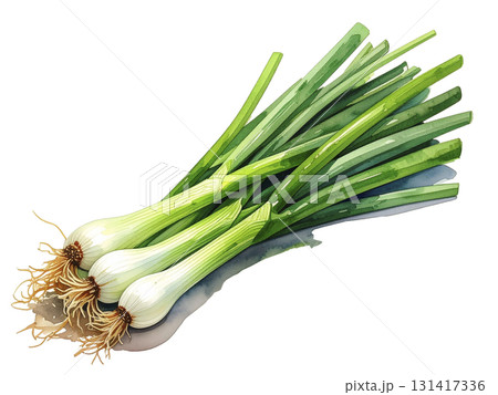 長ネギ　野菜　AI生成画像    131417336